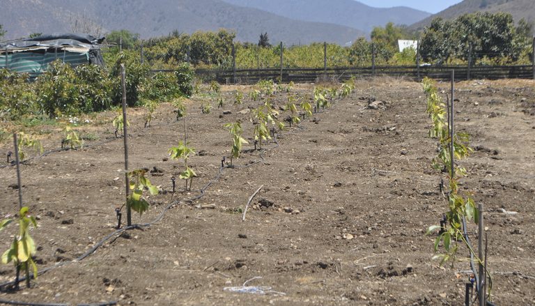 Lee más sobre el artículo El Mostrador 9 de enero 2020