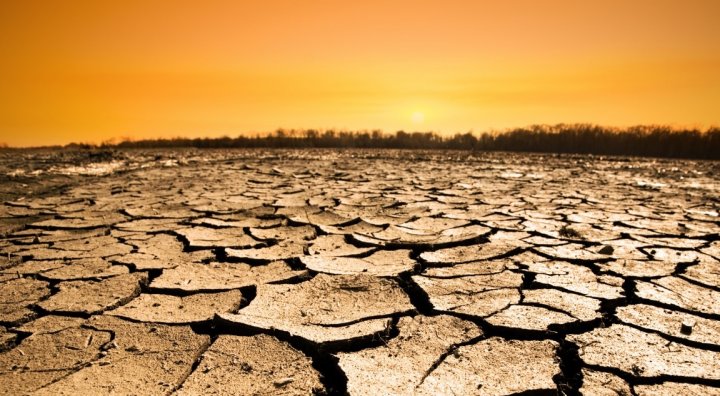 Diario La Izquierda, «Sequía.2021 fue el año más seco en toda la historia de Chile: La industria forestal es la que más agua consume», 10 de diciembre